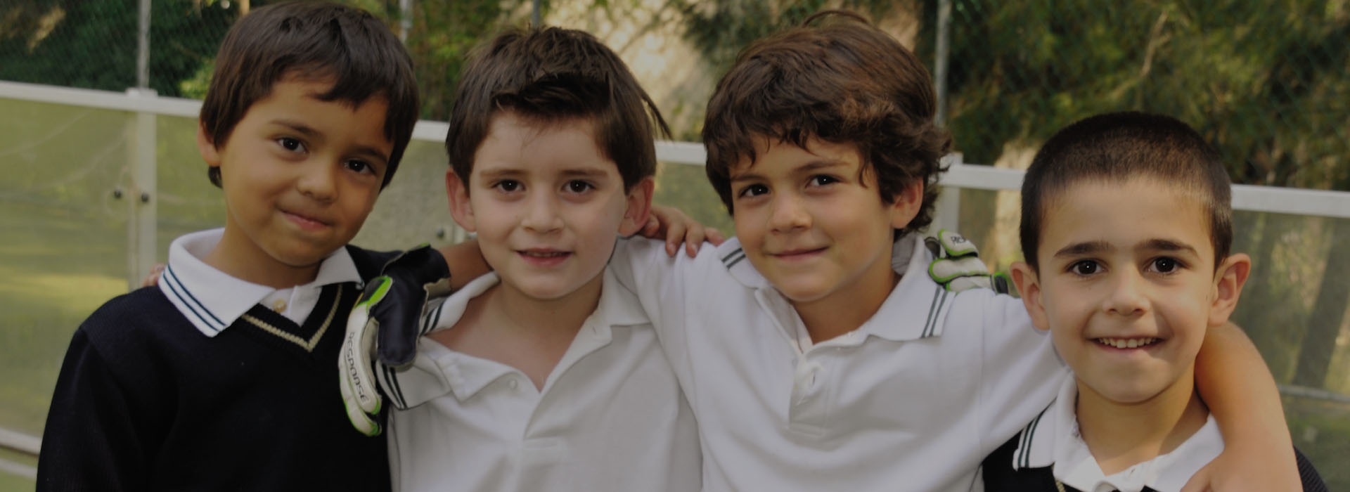 Image Alt